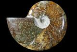 Polished, Agatized Ammonite (Cleoniceras) - Madagascar #88223-1